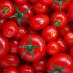 Tomatoes