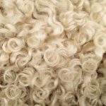Wool