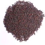 Mustard Seed