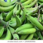 Plantain