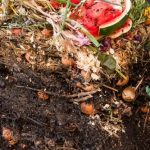Decomposed Organic Matter