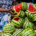 Watermelon