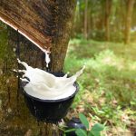 Natural Rubber